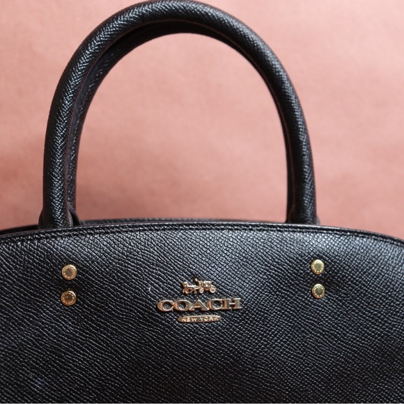 COACH Pebble Leather Hand bag with Shoulder strap - Mini Lillie Carryall - Picture 3 of 16